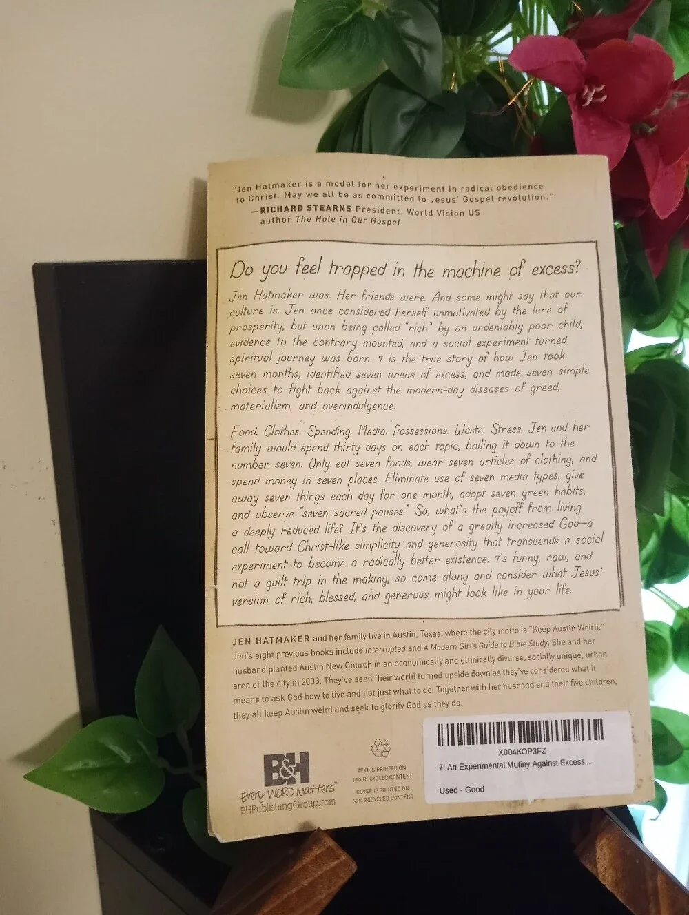 7: An Experimental Mutiny Against Excess by Jen Hatmaker